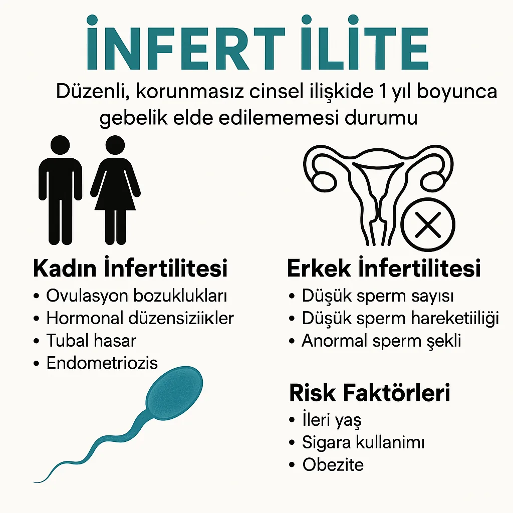infertilite Tedavisi