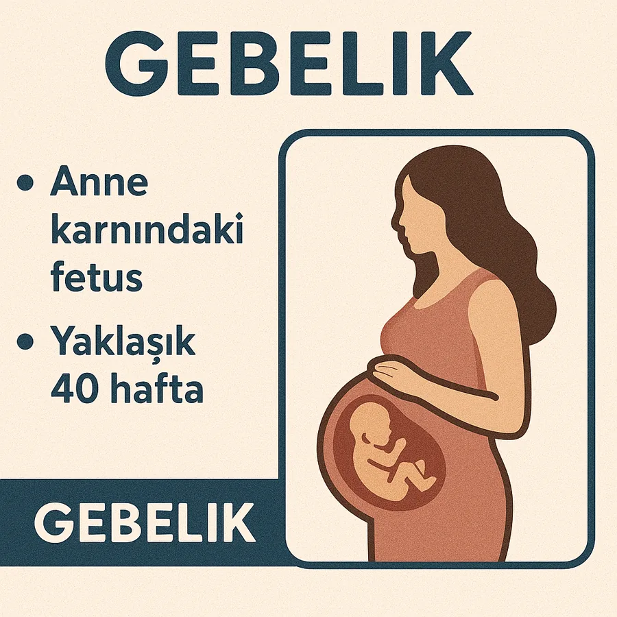 Gebelik