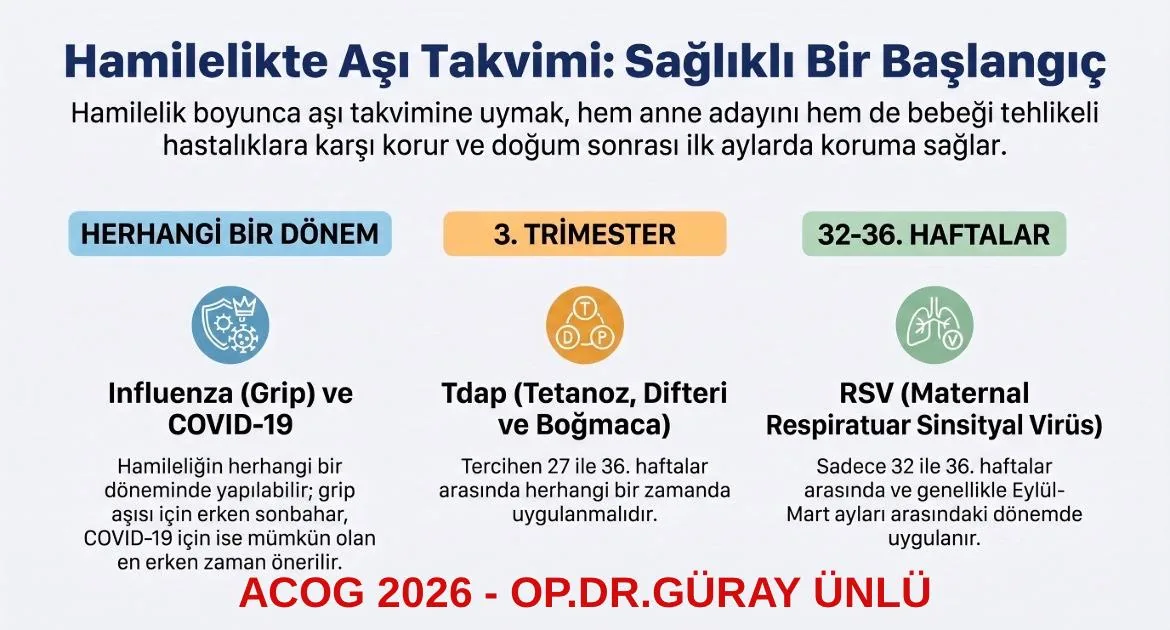 Hamilelikte Aşı Takvimi | Grip, Tdap ve RSV Aşıları
